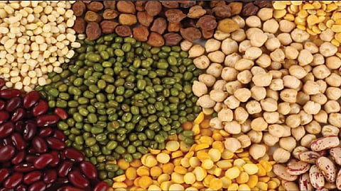 कडधान्य