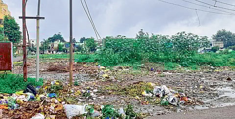 ‘बिन फ्री’च्या नादात शहरच झाले ‘डस्टबिन’