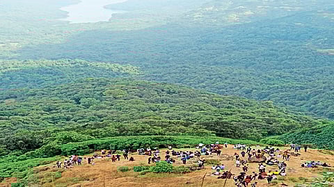 वासोटा किल्ला पर्यटनाची भुरळ कायम