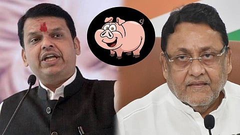 'डुकराशी कुस्ती खेळू नका, घाण तुमच्याच अंगाला लागते' फडणवीसांचं सूचक टि्वट