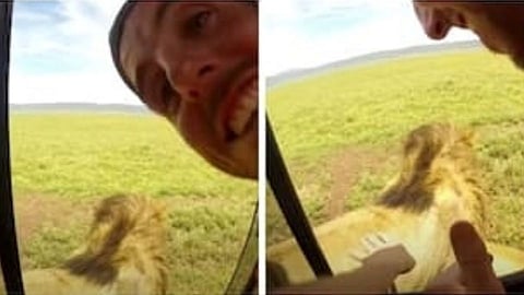 फोटो काढणाऱ्या पर्यटकांवर सिंह भडकला; पुढे काय झालं...पाहा हा व्हिडीओ...