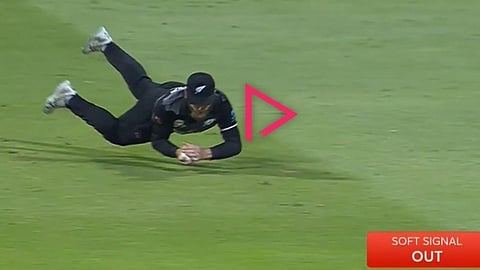 Williamson catch