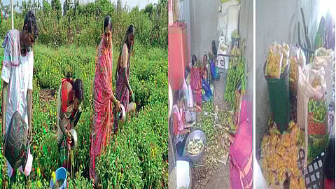 प्रक्रिया उद्योगातून महिला बचतगटांची भरारी