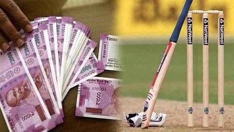 cricket betting