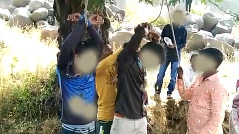 दोन तरुणांना चिंचेच्या झाडाला बांधून मारहाणीचा व्हिडीओ व्हायरल