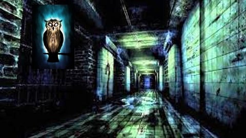 जेव्हा मध्यरात्री बंद घरातून येतो चित्रविचित्र आवाज, तेव्हा..!