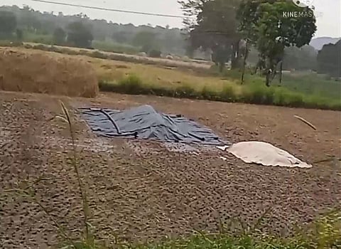 ढगाळ वातावरणामुळे शेतकऱ्यांच्या चिंता वाढल्या