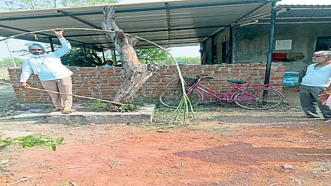 Solapur : अडीच एकरात तब्बल २४१ टन ऊस