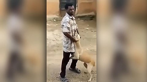 सोशल मीडियावर एक व्हिडीओ चांगलाच व्हायरल होत आहे.