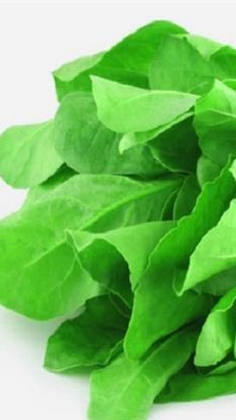 Spinach