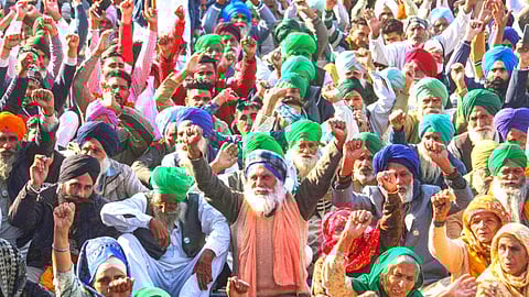 'कृषी कायदे' रद्द झाल्यानंतर काय म्हणालेत बॉलीवूड सेलिब्रेटी?