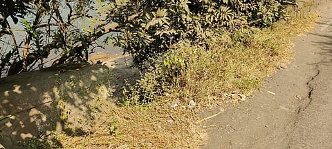 धरणाच्या पडलेल्या भिंतीच्या दुरुस्तीकडे पाटबंधारे विभागाचे दुर्लक्षच