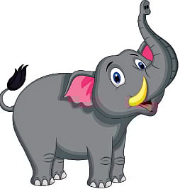 elephant