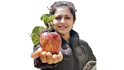 drashti dhami