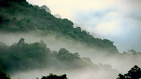 Silent Valley National Park