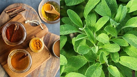 आहारात घ्या 'हे' तीन मसाले