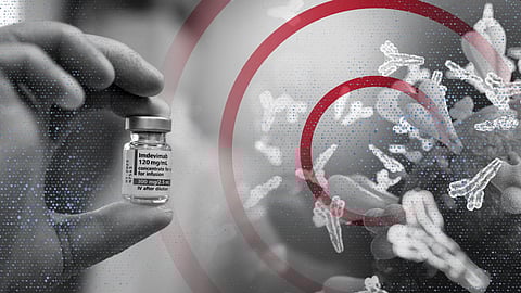 Monoclonal Antibodies for Treatment