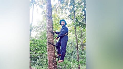 नोकरी सोडून कल्पवृक्ष संवर्धनाचा ध्यास