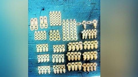 बदलती गावे : डायमेकिंगचा परदेशातही डंका