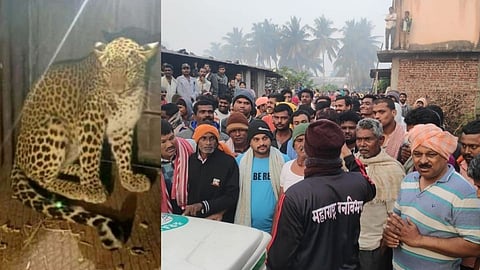 Forest Department Karad