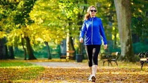 का खरंच जेवण झाल्यावर फेरफटका मारल्याने अन्न सहज पचते?