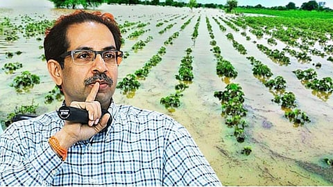 दिवाळीत सरकारकडून शेतकऱ्यांची थट्टा