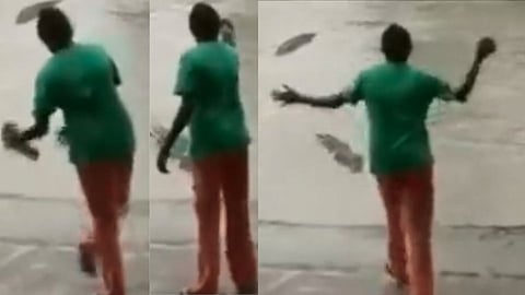 Video : आवरा! चप्पल दाखवून महिलेने मगरीला लावलं पळवून