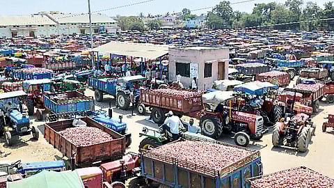 Nampur Market Committee had a turnover of 225 crore in the onion market