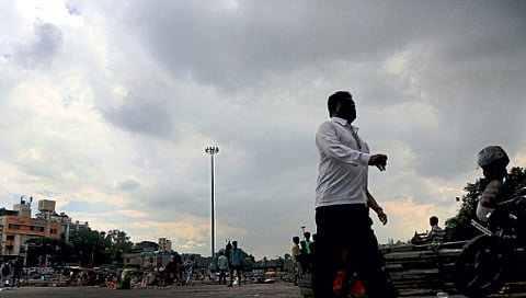 Nashik : ढगाळ वातावरणामुळे थंडी गायब