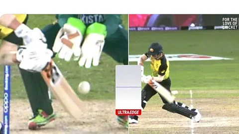 david warner