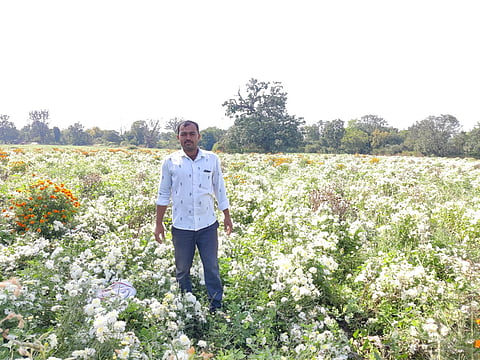 युवकाला फुलशेतीतून मिळाली नवी दिशा