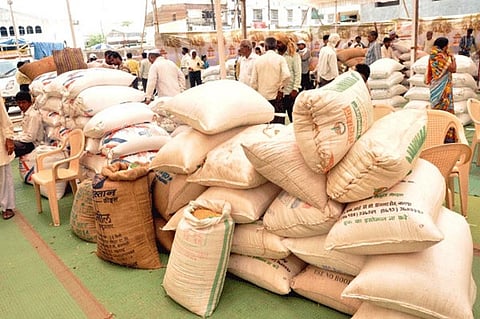 भरडधान्य खरेदी