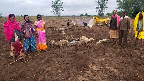 Heavy Rain in Khatav
