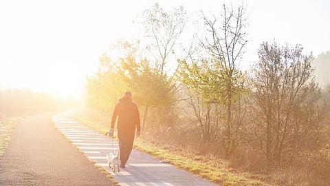 मॉर्निंग वॉक