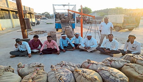 Black Sorghum Dharangaon Buy coarse grains Farmers