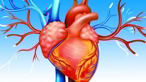 'त्या' चिमुकलीच्या शरीरात धडधडू लागले 41 वर्षीय शेतकऱ्याचे हृदय!