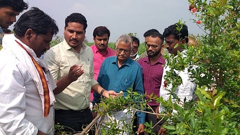 'शेतकऱ्यांनो, पीक पद्धत बदला अन् डाळिब उत्पादक संघ तयार करा!'