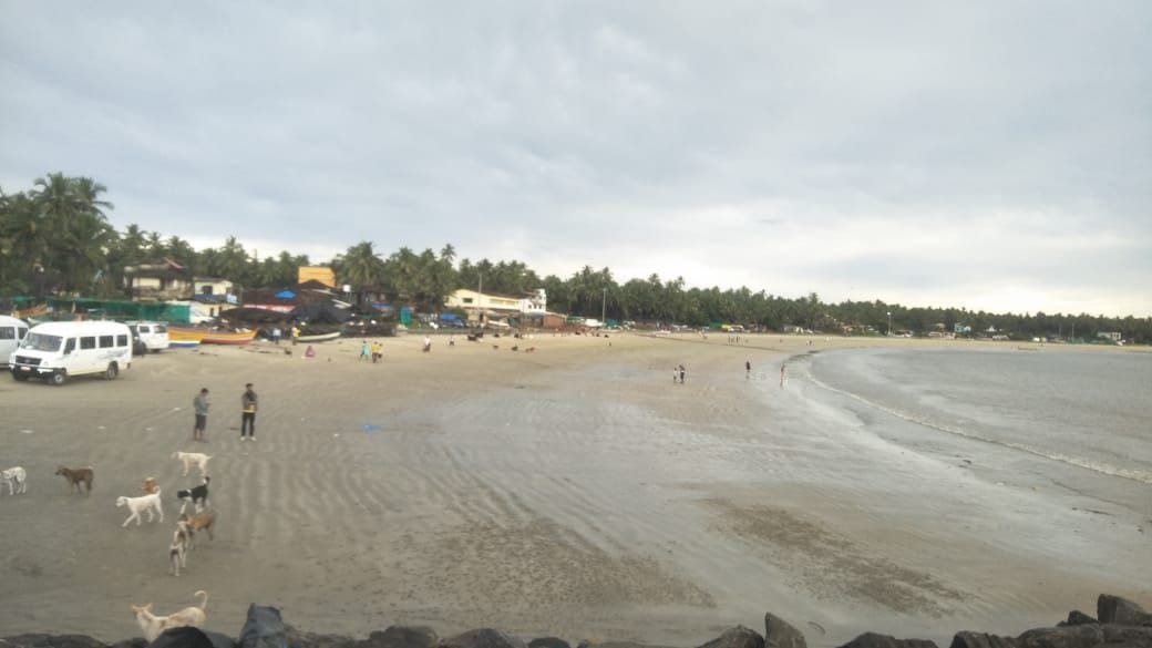 समुद्रातील वादळसदृश परिस्थितीमुळे मासेमारी बरोबरच पर्यटन ठप्प