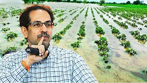 'अतिवृष्टी'साठी 1400 कोटी! जानेवारीत मिळणार मदत
