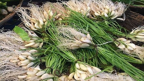 green Garlic