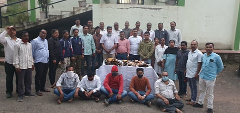 कऱ्हाडला मुंगसाच्या केसांपासून बनवलेले १७३५ ब्रश जप्त