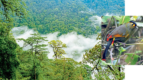 Eaglenest Wildlife Sanctuary