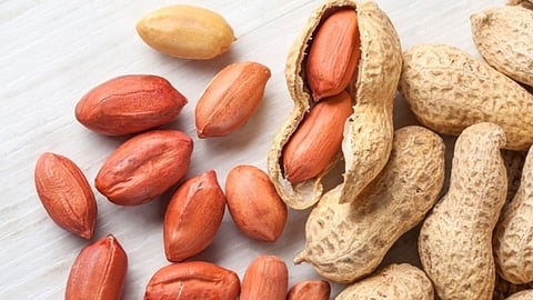 भुईमूग (Peanuts)