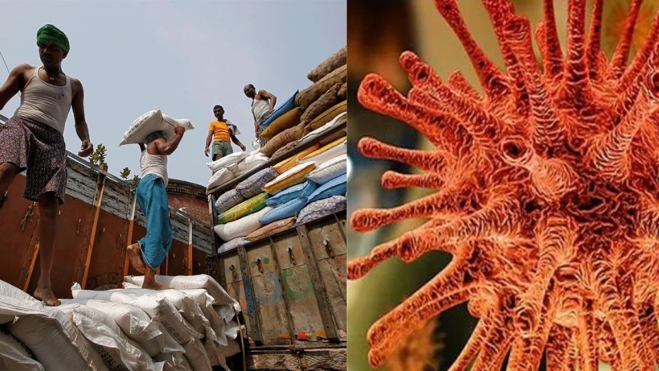 Omicron च्या पार्श्वभूमीवर देखील साखर उद्योग निर्यातीसाठी आशावादी!