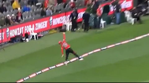 Big Bash League Cricket News