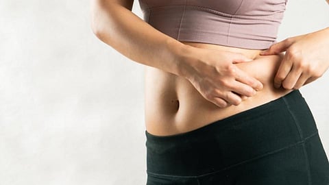 Reduce Belly Fat : बेली फॅट कमी करायचयं? 'हे' पदार्थ ठरतील फायदेशीर