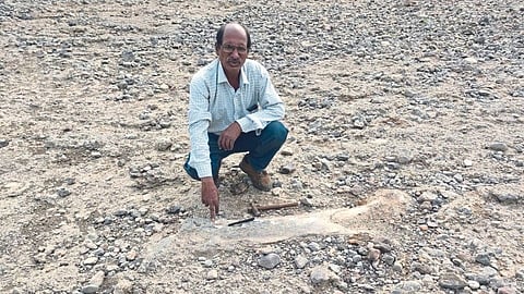 तुळाणा गावाजवळील जीवाश्माची पाहणी करताना प्रा. चोपणे