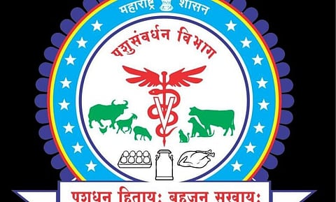 पशुसंवर्धन