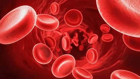 Hemoglobin
