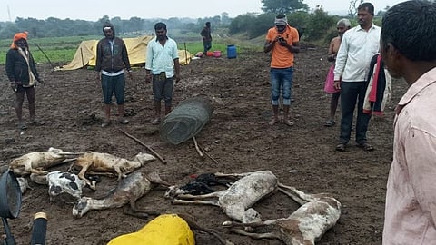 Heavy Rain in Khatav